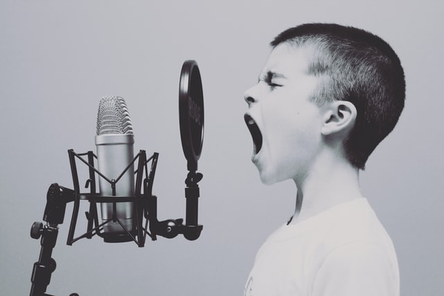 De voordelen van een goede voice over stem